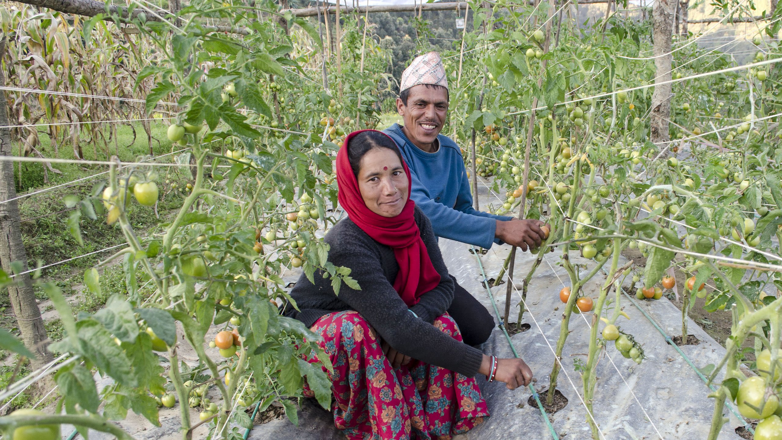 BRACED family, Harina Devi Khatri and husband Bishnu, Hirapur Doti district, Nepal, September 2017