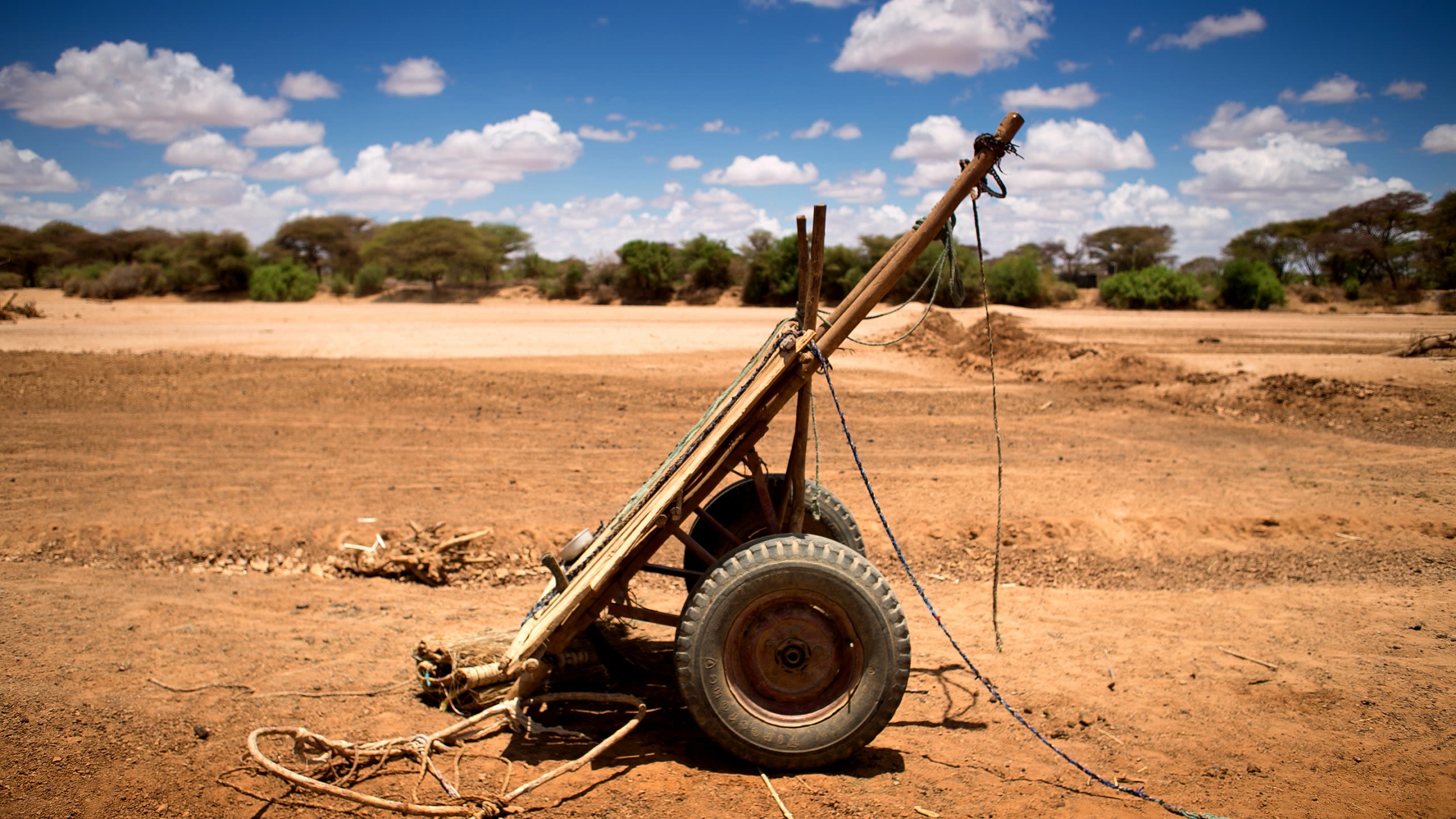 Drought in Kenya, Isiolo county, April 2017