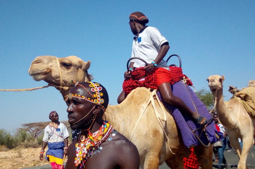 PfR camel caravan, Ewaso Ngiro basin communities, Kenya, September 2017