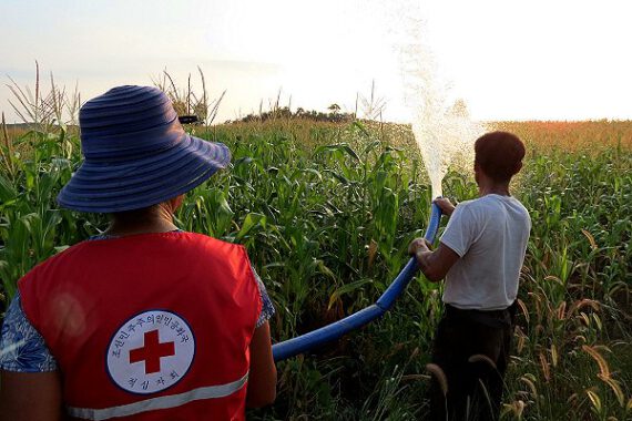 North Korea declares emergency over heatwave threat to people and crops