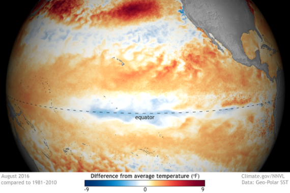 US scientists cancel official ‘La Niña watch’ as their forecast drops to 40% probability