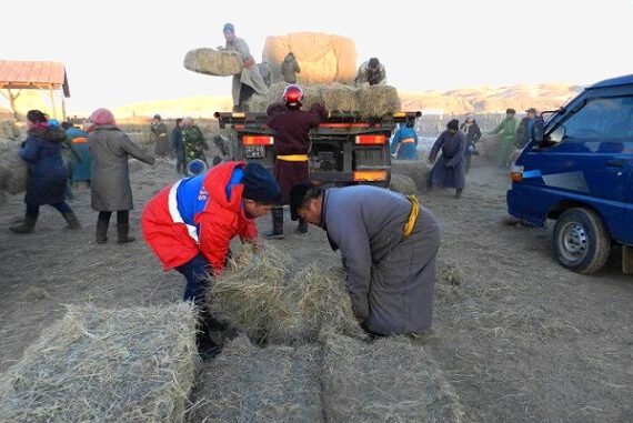 New IFRC assistance for herders struggling with extreme winter conditions in Mongolia