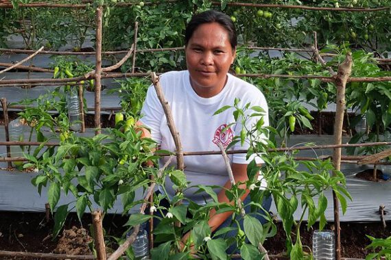 Local action, local heroes: PfR works on  climate, resilience and livelihoods in the Philippines