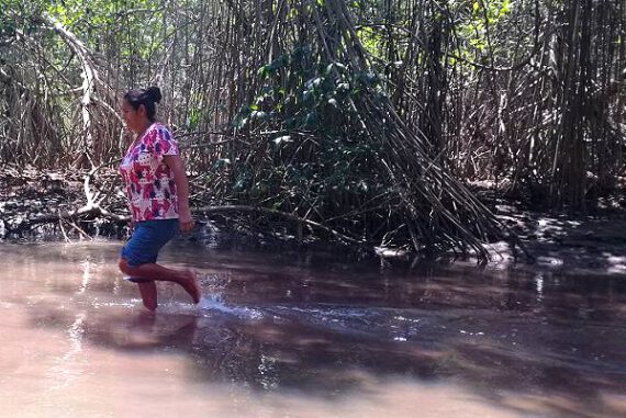 On Guatemala’s Pacific coast, PfR helps womenget standards raised on land use, mangrove conservation