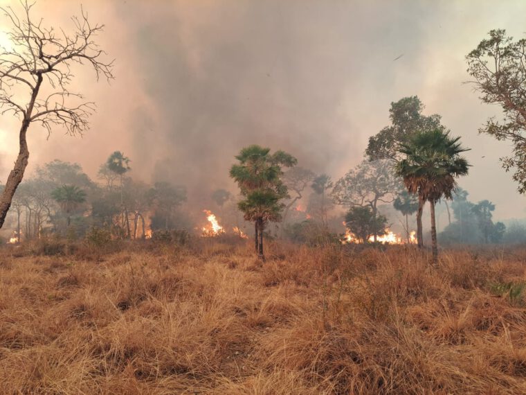 Climate change drives wildfires in South America’s Pantanal wetland, the world’s largest – Study