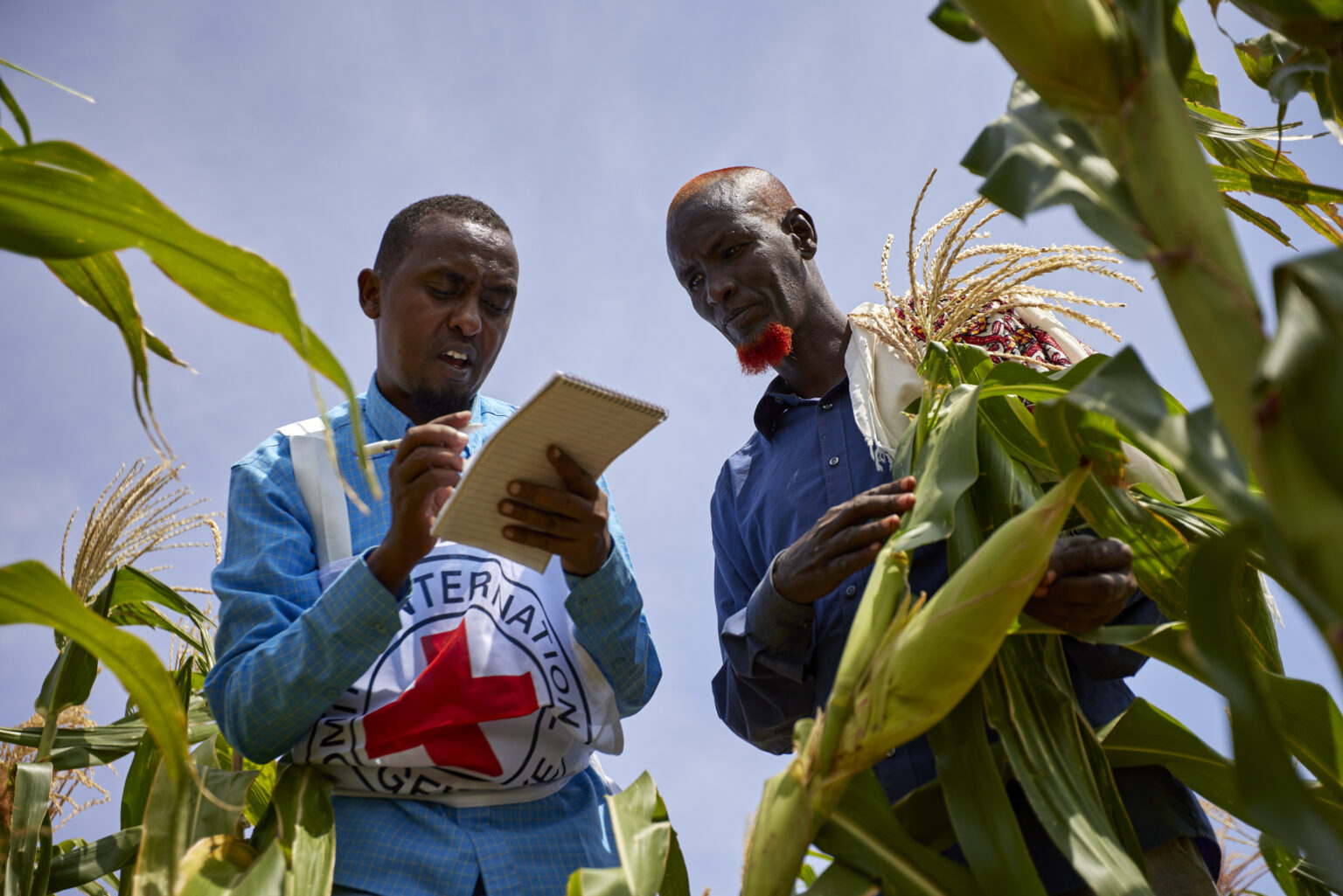 Partners – Red Cross Red Crescent Climate Centre