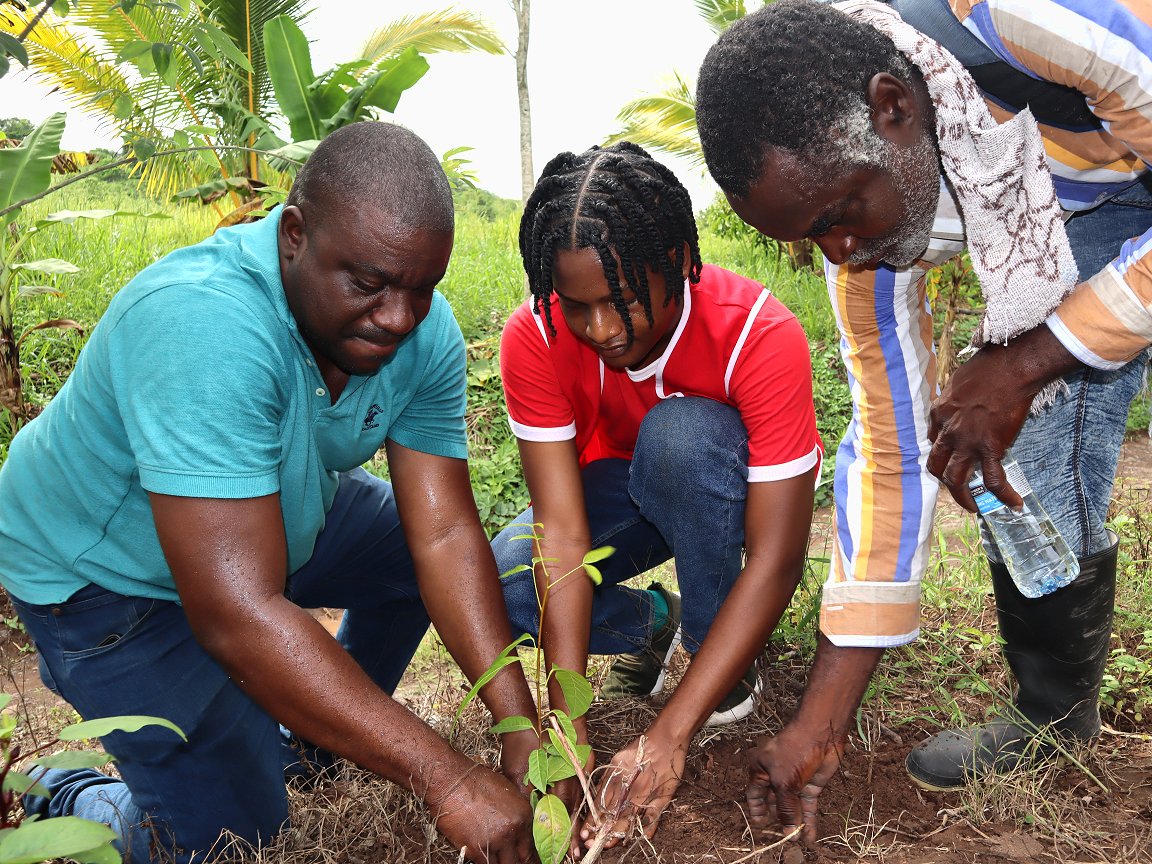 ‘We urge governments to integrate conserving biodiversity and disaster management’